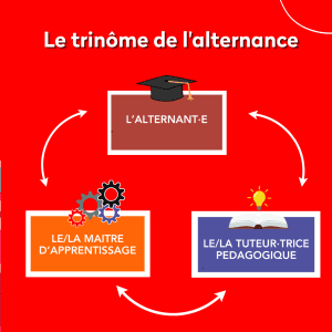 Schéma du trinôme de l'apprentissage, composé de l'apprenti.e, du Maitre d'apprentissage et du tuteur pédagogique.